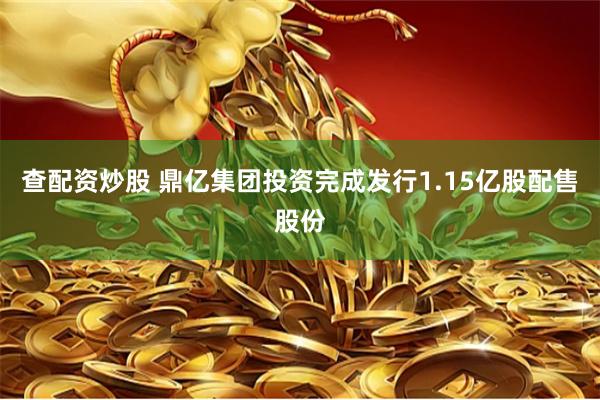 查配资炒股 鼎亿集团投资完成发行1.15亿股配售股份