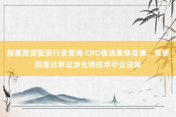 股票期货配资行业查询 CRO板块集体反弹，美参院推迟审议涉生物技术中企法案