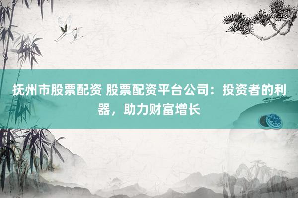 抚州市股票配资 股票配资平台公司：投资者的利器，助力财富增长